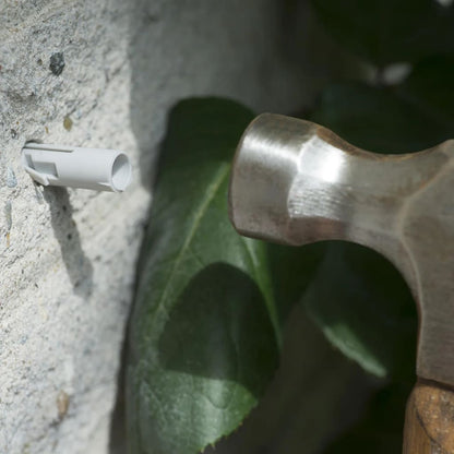 Nature Spandraadsytemen Voor Klimplanten St 2