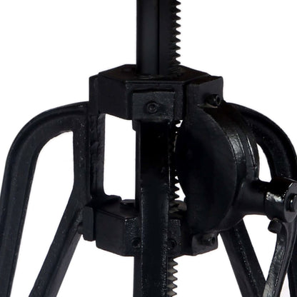 Bijzettafel 60X(46-63) Cm En Gietijzer 46-63 cm massief mangohout