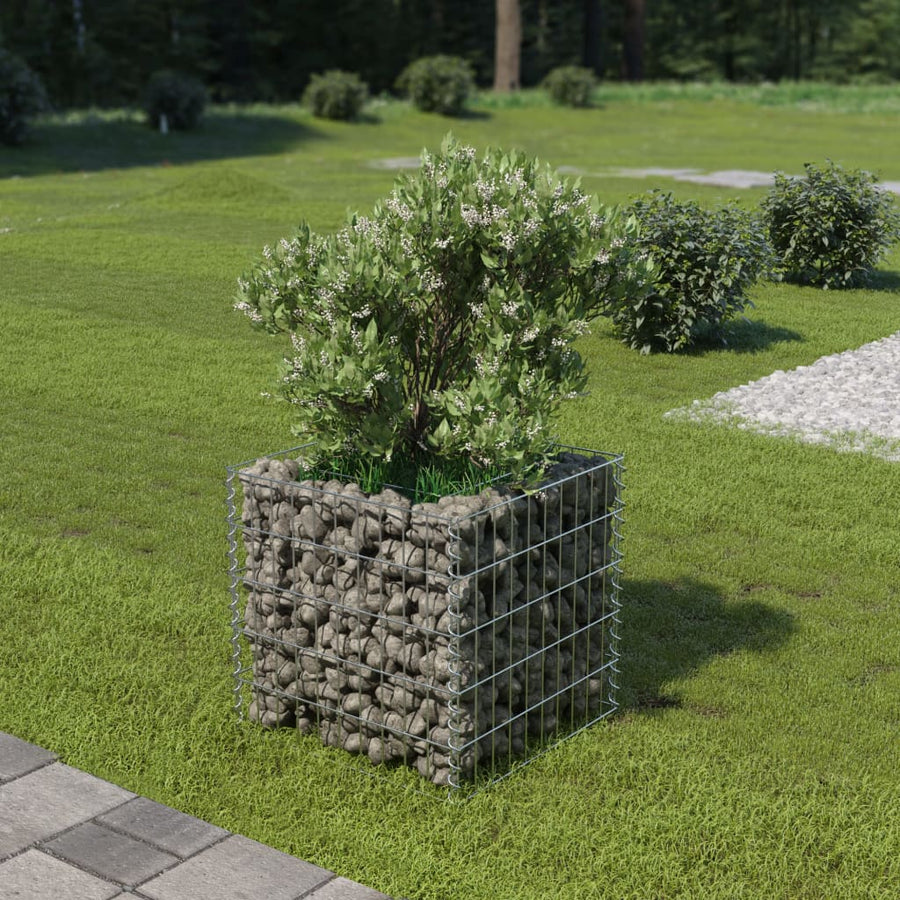 Gabion Plantenbak Verhoogd Gegalvaniseerd Staal 50 x 50 x 50 cm