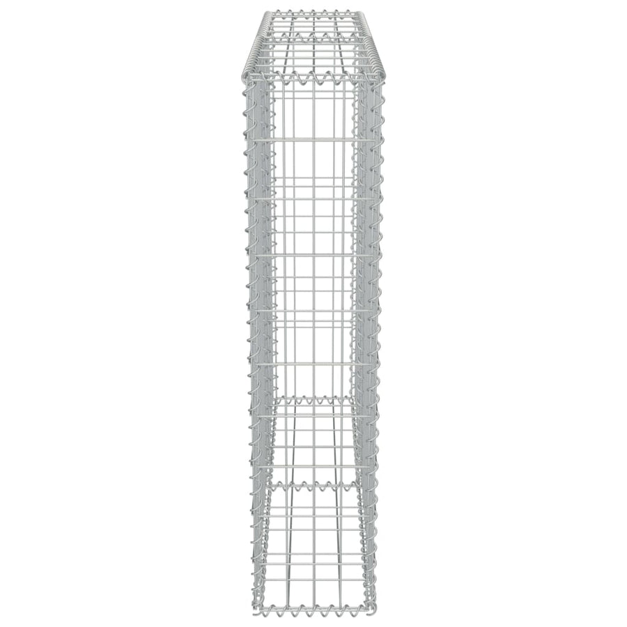 Schanskorfmuur met deksels 100x20x100 cm gegalvaniseerd staal 100 x 20 x 100 cm