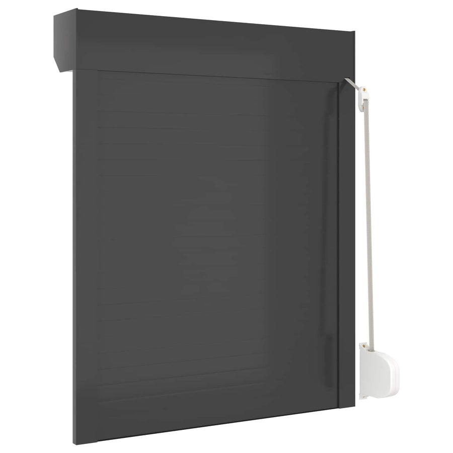 Roljaloezie Antraciet 80 x 100 cm Aluminium en Polyurethaan