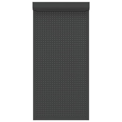 Rolluik 100x210 cm aluminium antracietkleurig 100 x 210 cm Antraciet
