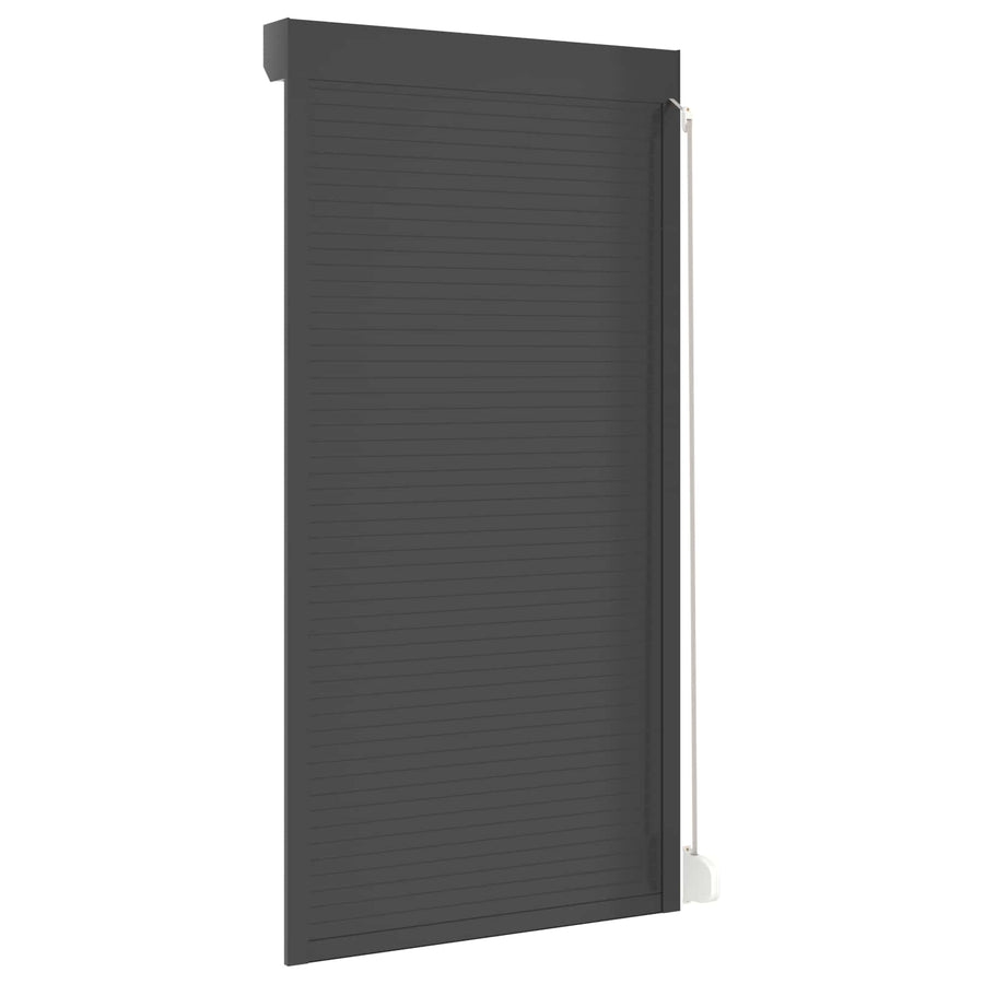 Roljaloezie Antraciet 110 x 220 cm Aluminium en Polyurethaan