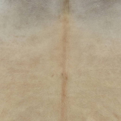 Vloerkleed Echte Runderhuid 150 x 170 cm Beige