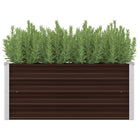 Raised Planter 100x40x45 cm galvanized steel brown