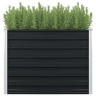 Raised planter 100x100x77cm galvanized steel anthracite
