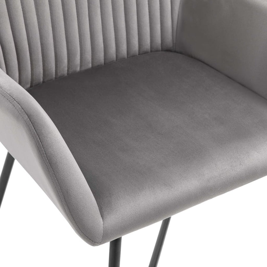 Eetkamerstoelen Fluweel 4 Grijs