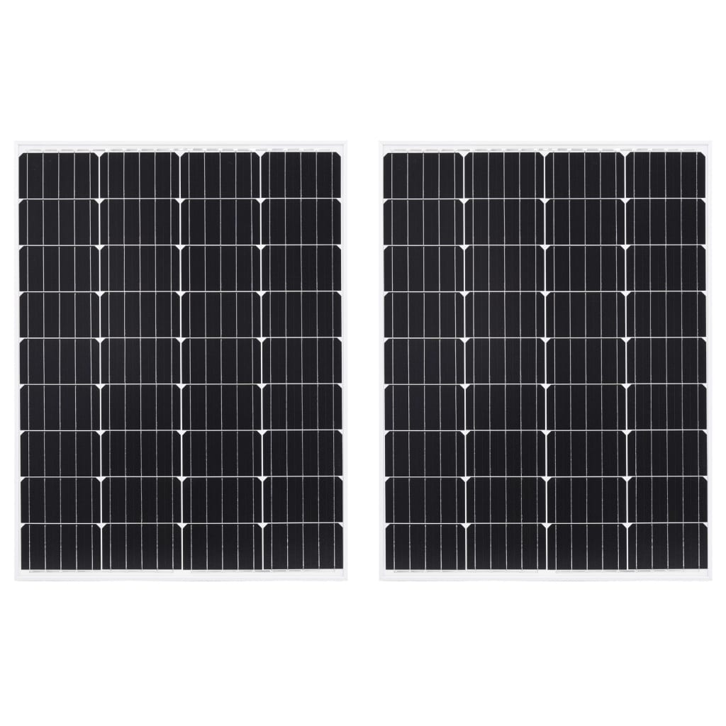 Zonnepanelen 2 St 100 W Monokristallijn Aluminium En Glas