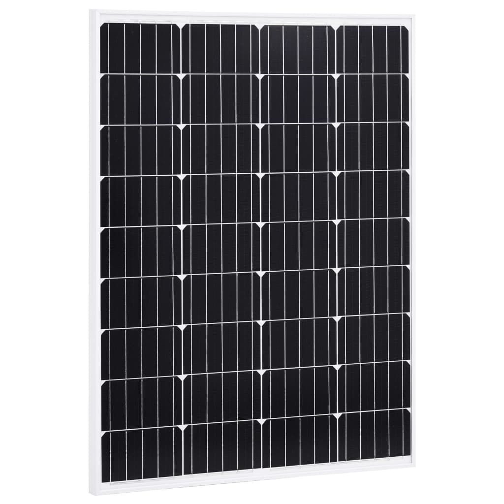 Zonnepanelen 2 St 100 W Monokristallijn Aluminium En Glas