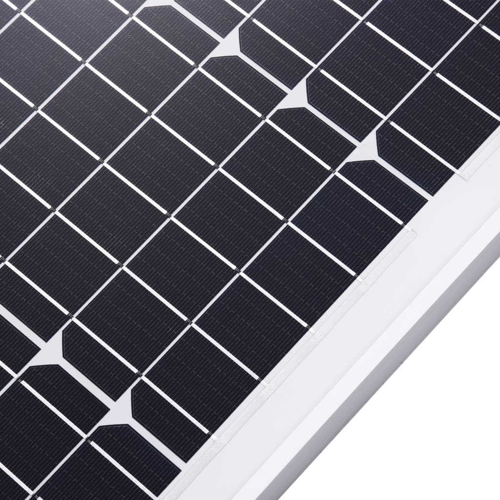 Zonnepanelen 2 St 100 W Monokristallijn Aluminium En Glas