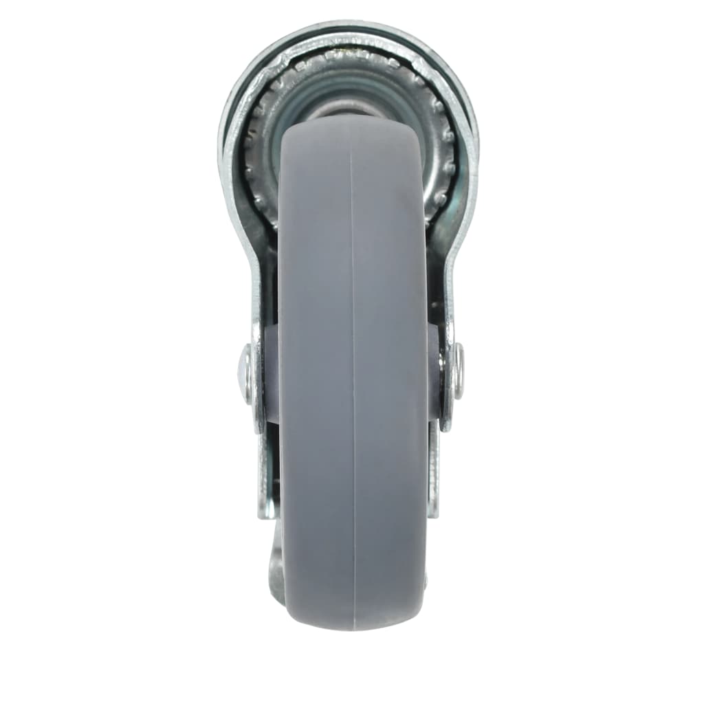 Zwenkwielen Met Boutgaten 100 Mm 24