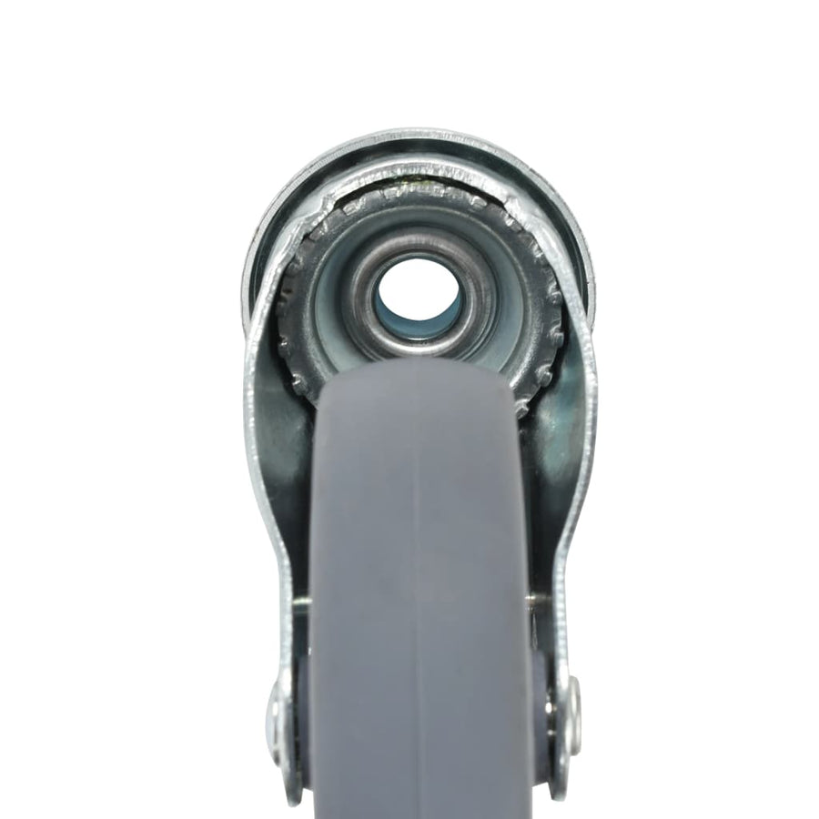 Zwenkwielen Met Boutgaten 100 Mm 24