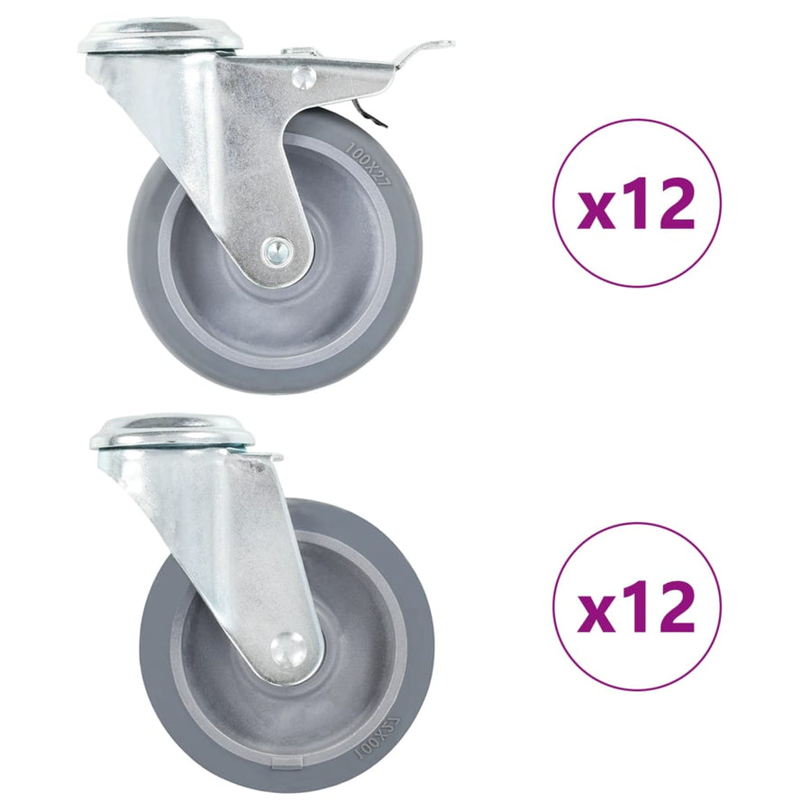 Zwenkwielen Met Boutgaten 100 Mm 24
