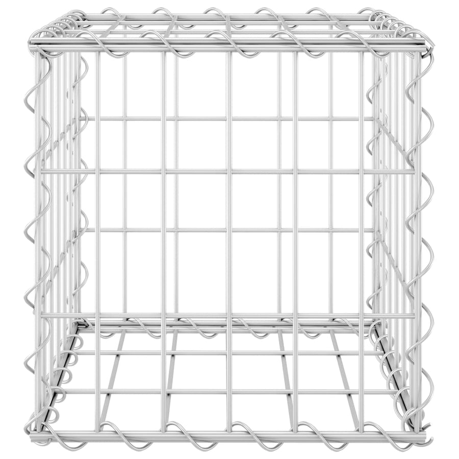 Gabion Plantenbak Verhoogd Kubus Staaldraad 30 x 30 x 30 cm