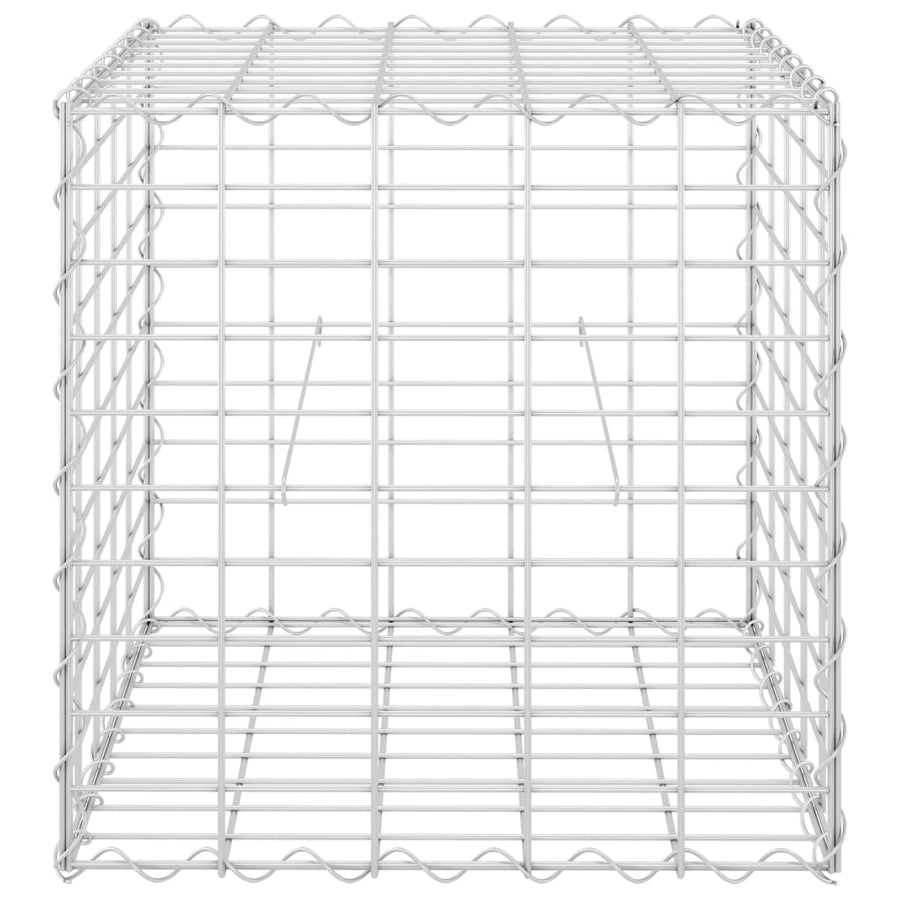Gabion Plantenbak Verhoogd Kubus Staaldraad 50 x 50 x 50 cm