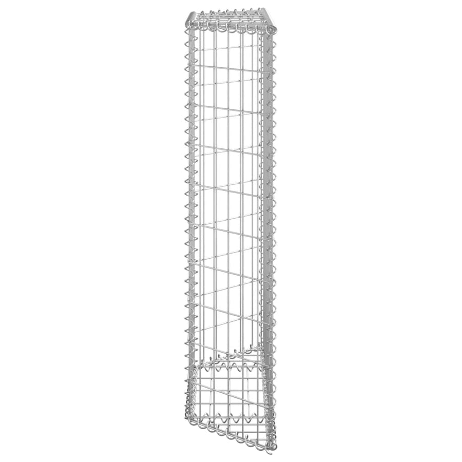Gabion Plantenbak Trapezium Gegalvaniseerd Staal 80 x 20 x 100 cm