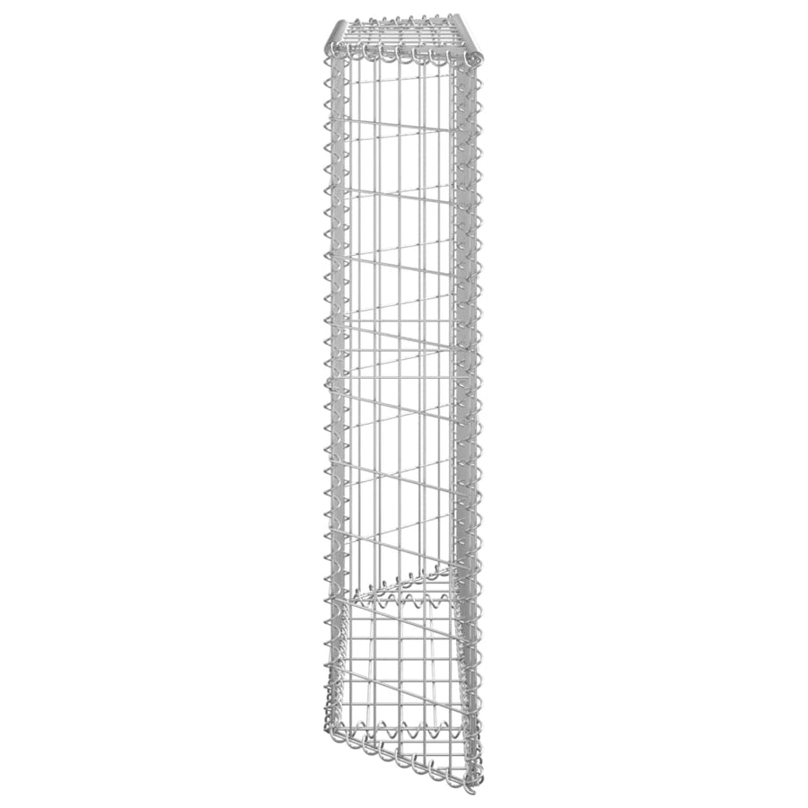 Gabion Plantenbak Trapezium Gegalvaniseerd Staal 100 x 20 x 100 cm