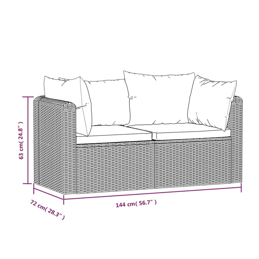 2-Delige Loungeset Met Kussens Poly Rattan Zwart Tweezitsbank