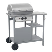 Gasbarbecue 92x53x96 cm zwart zilver