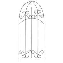 Plantenklimrekken 40X100 Cm Ijzer Zwart Gebloemd