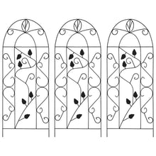 Plantenklimrekken 40X100 Cm Ijzer Zwart Blad