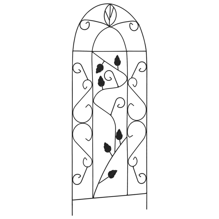 Plantenklimrekken 40X100 Cm Ijzer Zwart Blad