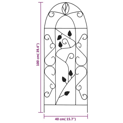 Plantenklimrekken 40X100 Cm Ijzer Zwart Blad
