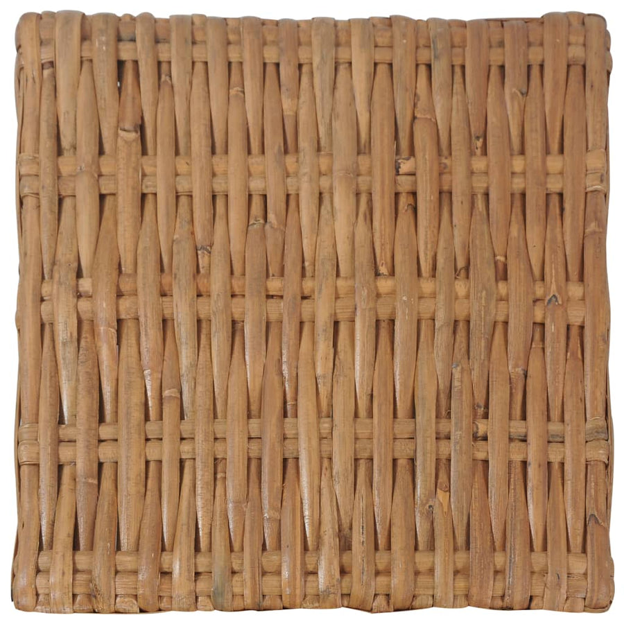 Salon 47X47X28 Cm Natuurlijk Rattan Tafel