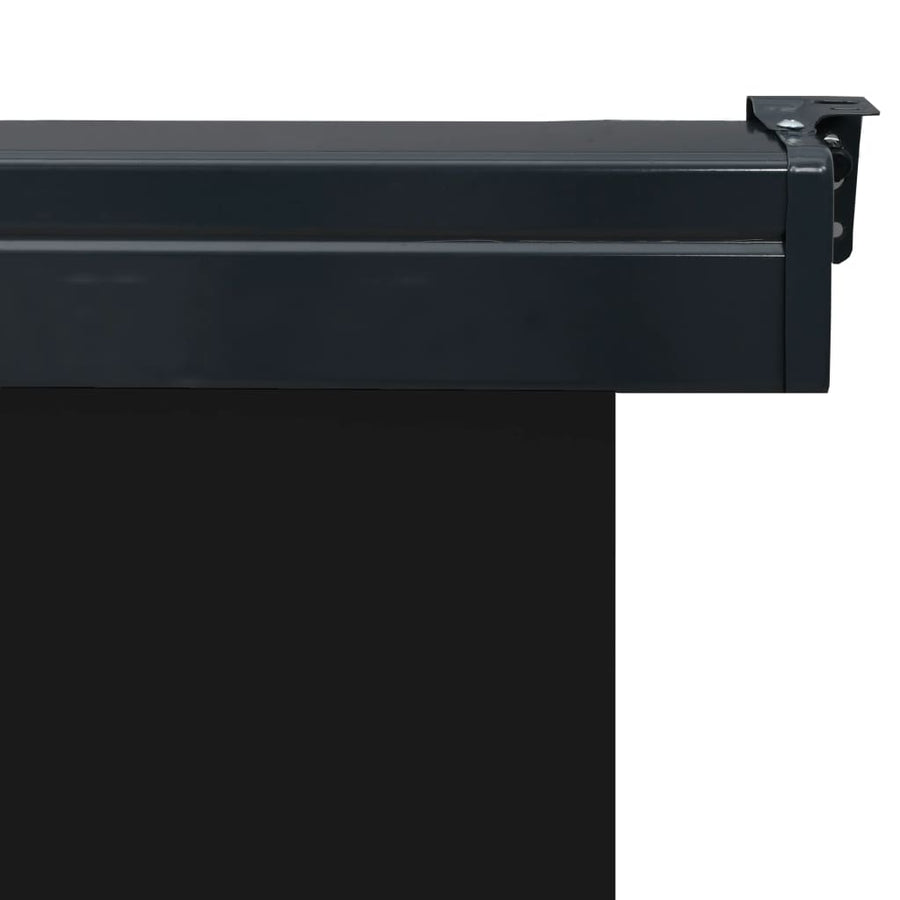 Balkonscherm 105 x 250 cm Zwart