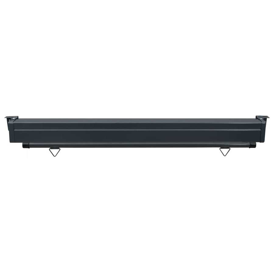 Balkonscherm 160 x 250 cm Rood