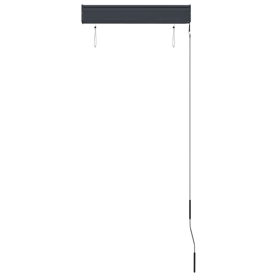 Rolgordijn Voor Buiten 60X250 Cm Antraciet
