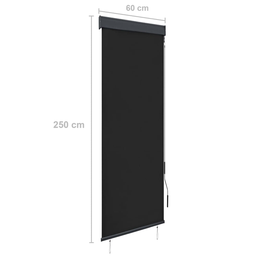 Rolgordijn Voor Buiten 60X250 Cm Antraciet