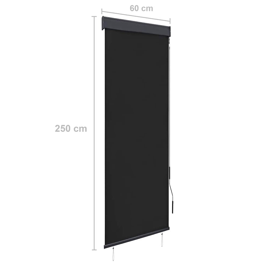 Rolgordijn Voor Buiten 60X250 Cm Antraciet