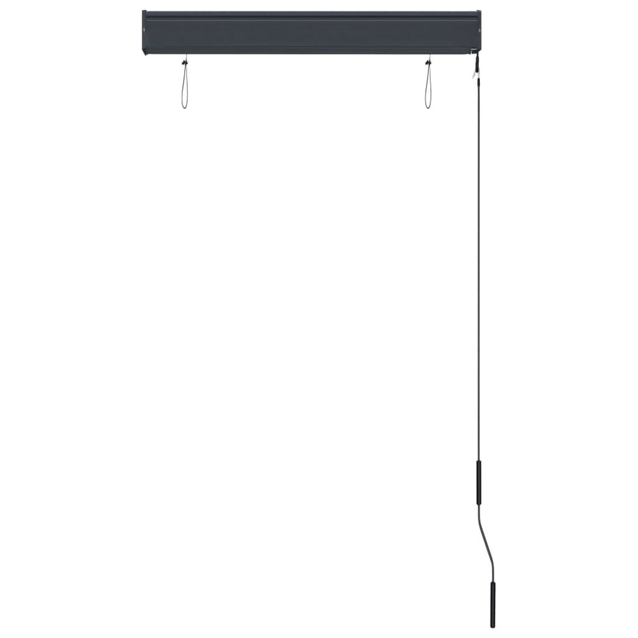 Rolgordijn voor buiten 80x250 cm antraciet