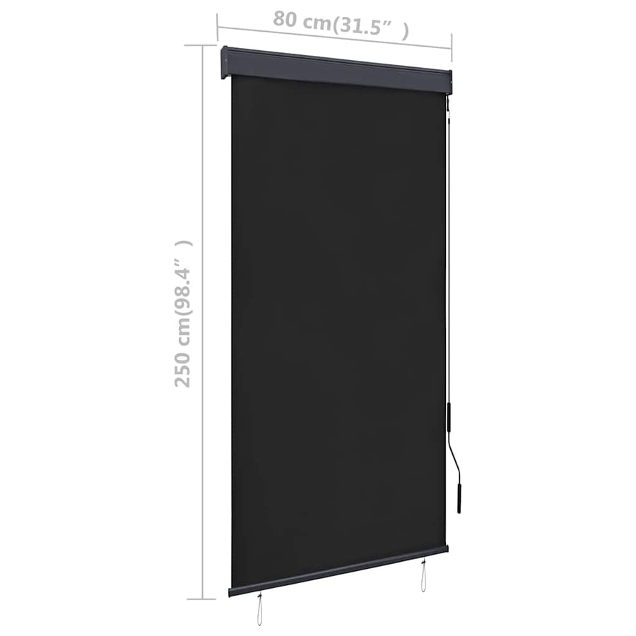 Rolgordijn voor buiten 80x250 cm antraciet