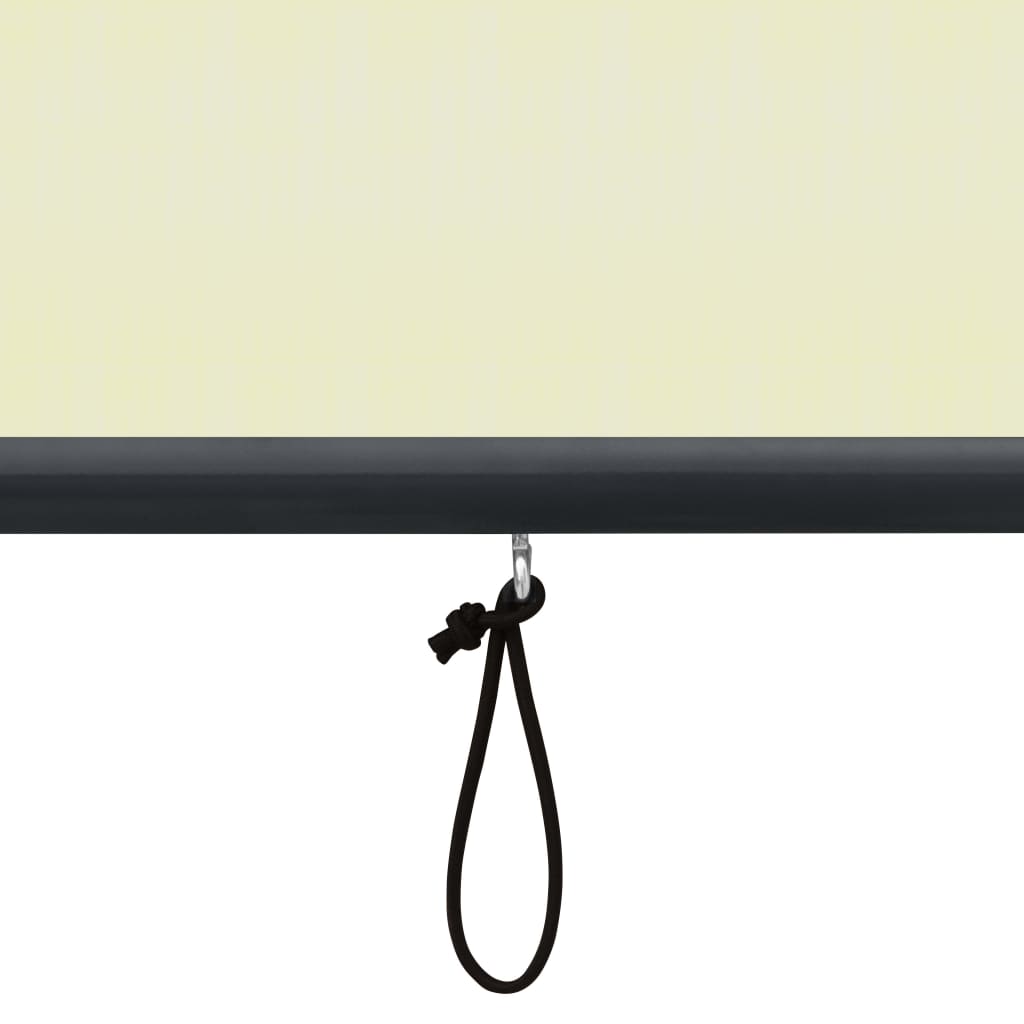 Rolgordijn voor buiten 80x250 cm crème