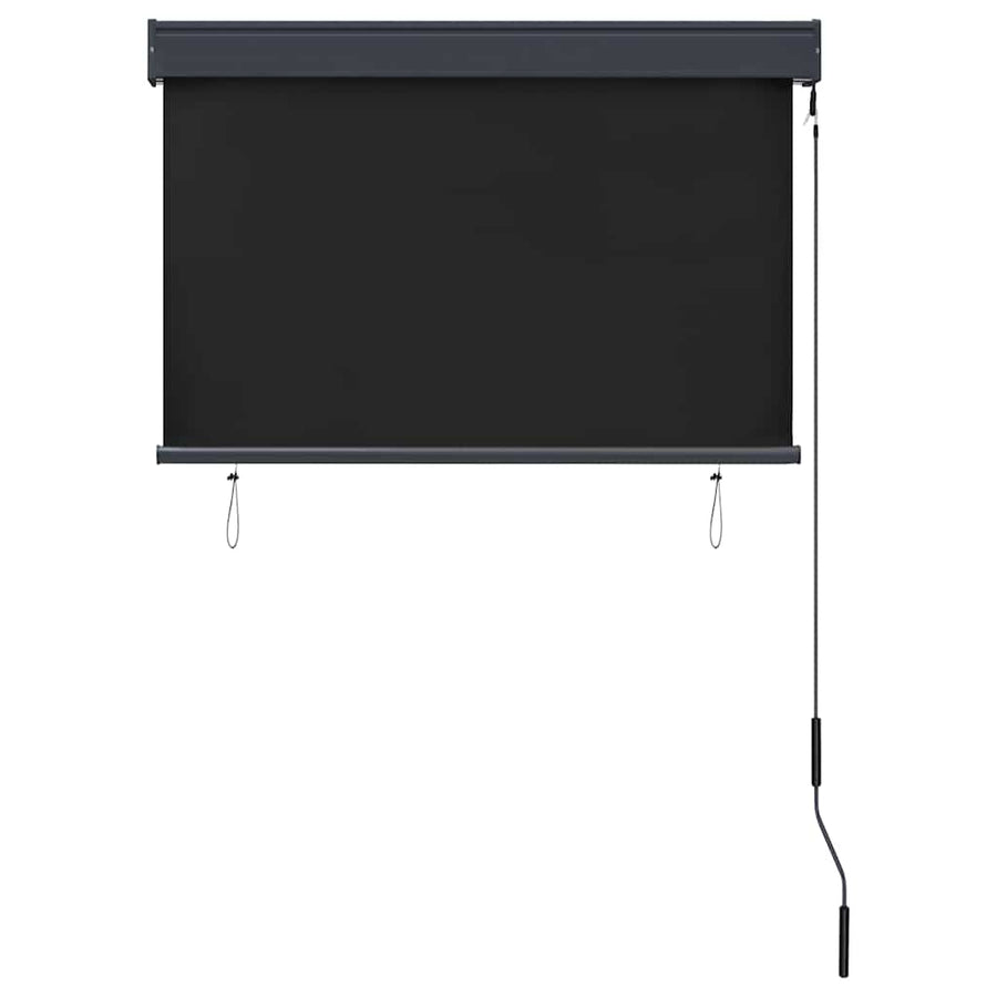 Rolgordijn voor buiten 100x250 cm antraciet