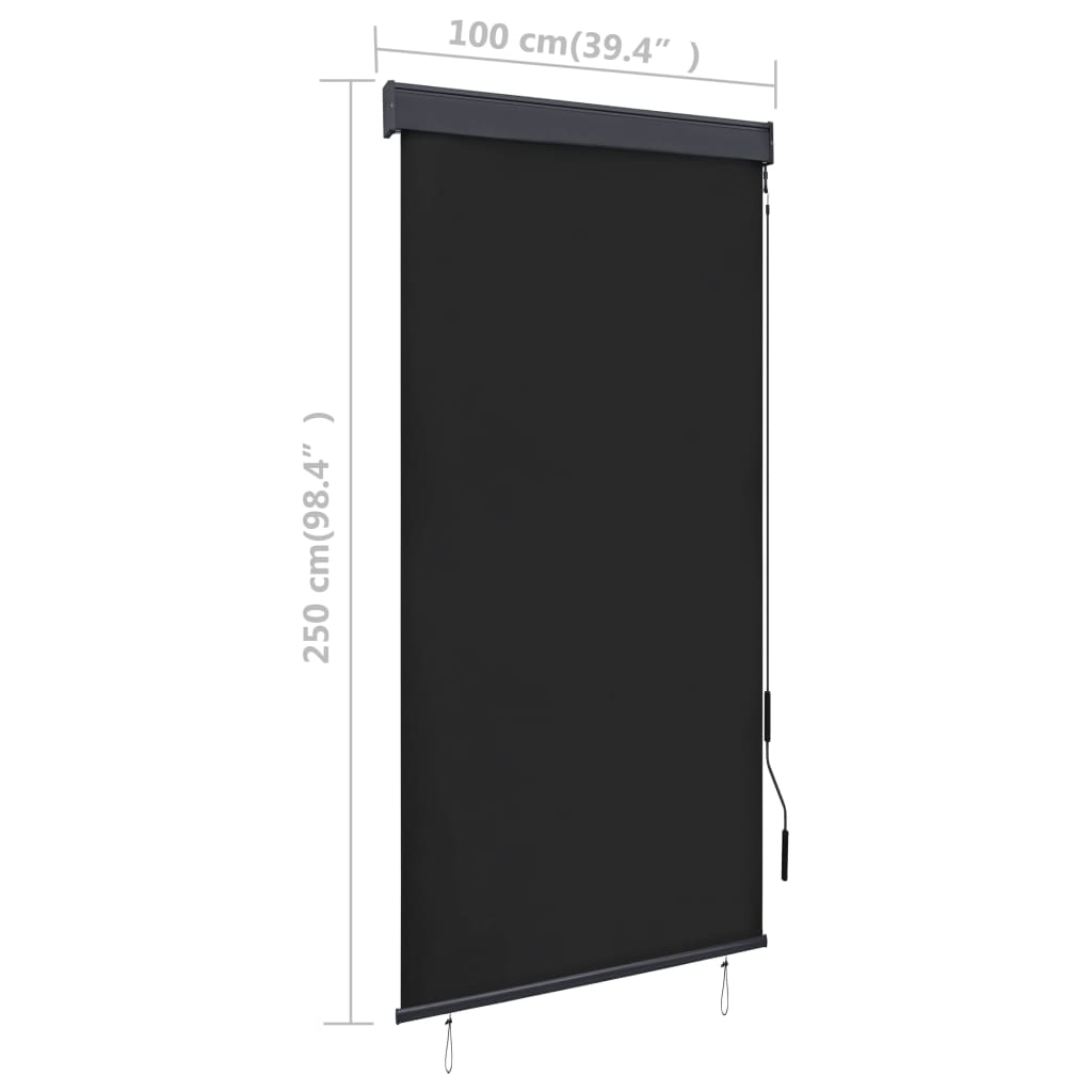 Rolgordijn voor buiten 100x250 cm antraciet