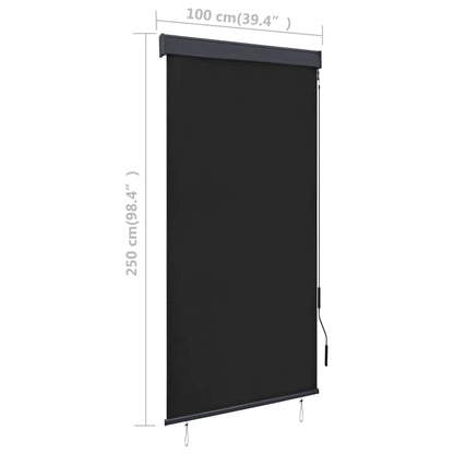 Rolgordijn voor buiten 100x250 cm antraciet