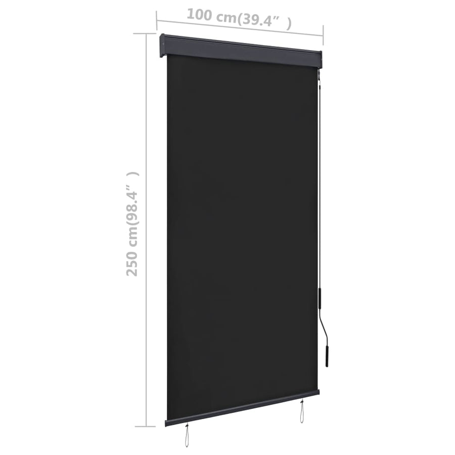 Rolgordijn voor buiten 100x250 cm antraciet