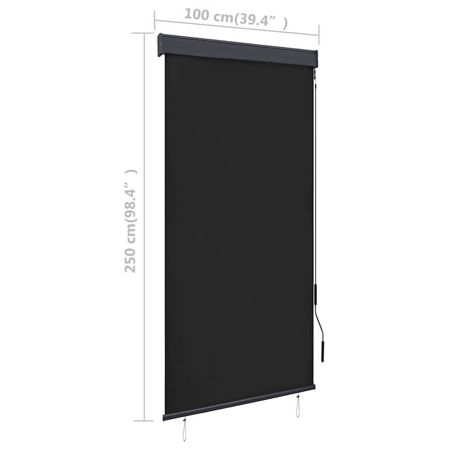 Rolgordijn voor buiten 100x250 cm antraciet