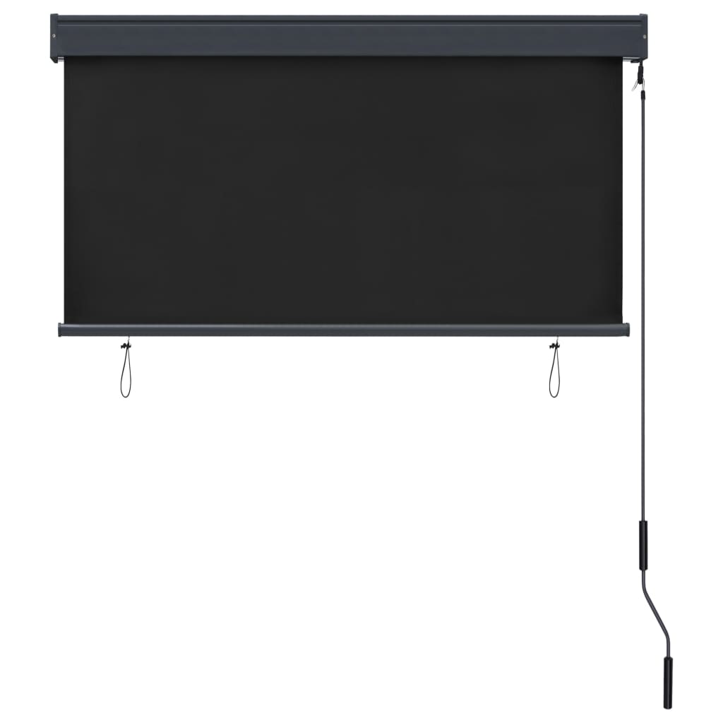 Rolgordijn voor buiten 120x250 cm antraciet