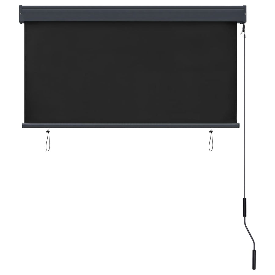 Rolgordijn voor buiten 120x250 cm antraciet