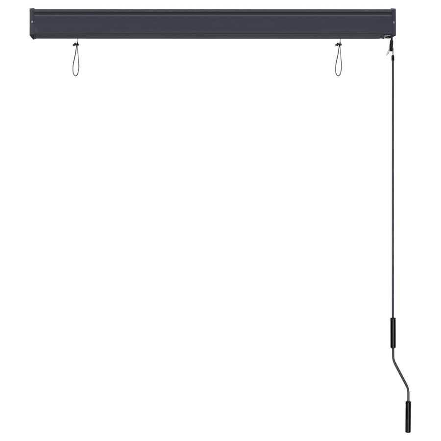 Rolgordijn voor buiten 120x250 cm antraciet