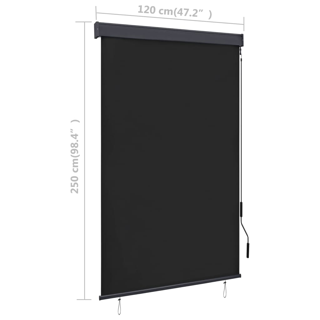 Rolgordijn voor buiten 120x250 cm antraciet
