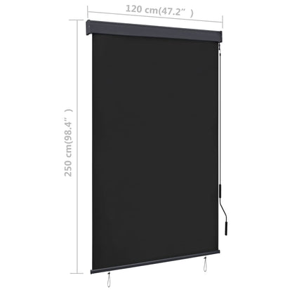 Rolgordijn voor buiten 120x250 cm antraciet