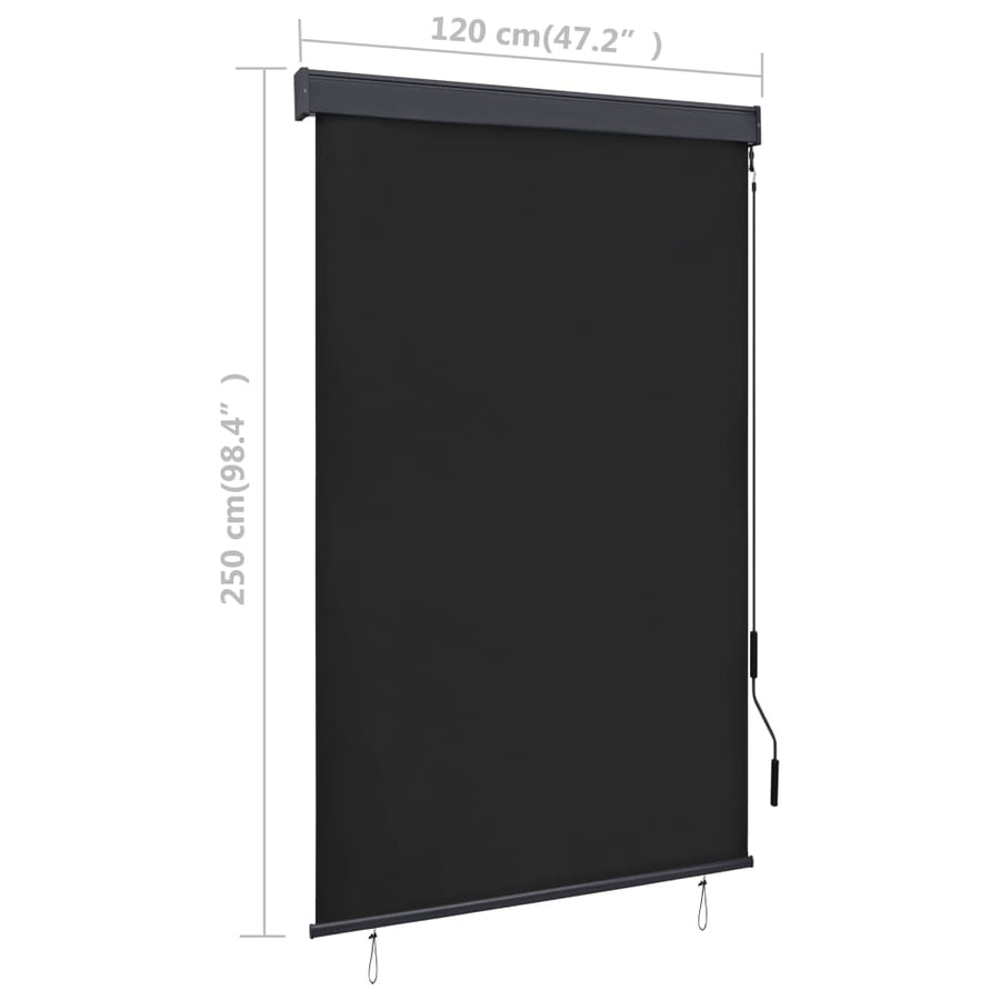 Rolgordijn voor buiten 120x250 cm antraciet