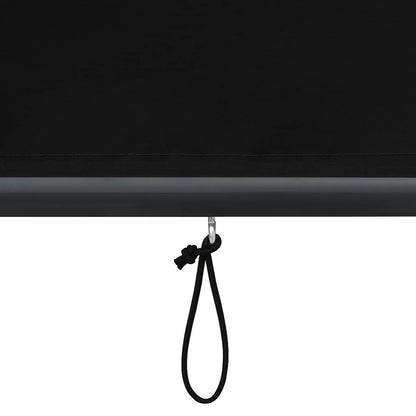 Rolgordijn voor buiten 120x250 cm antraciet