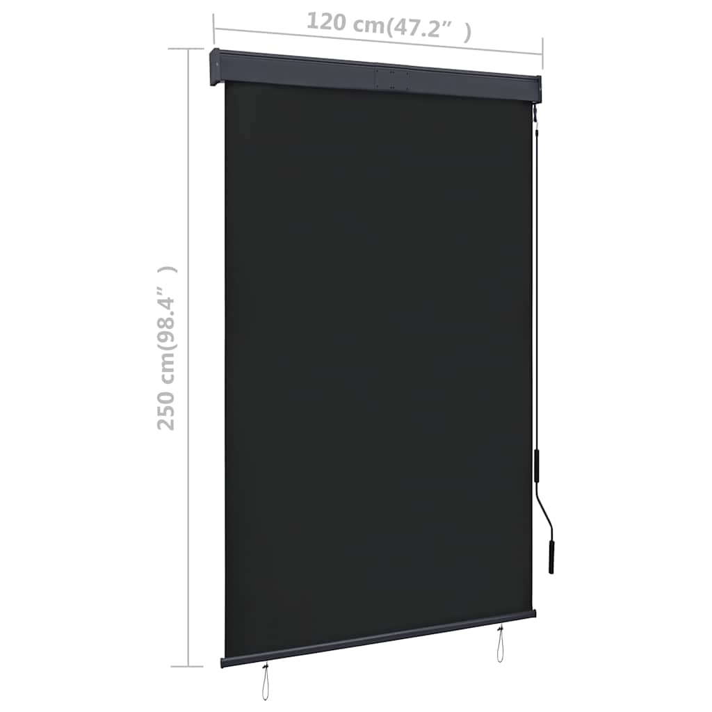 Rolgordijn voor buiten 120x250 cm antraciet