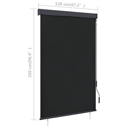 Rolgordijn voor buiten 120x250 cm antraciet